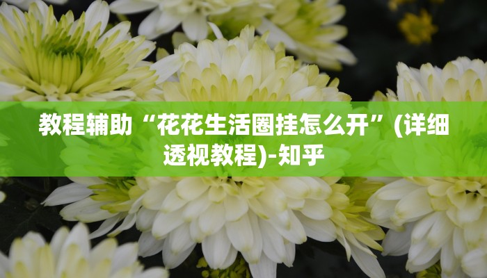 教程辅助“花花生活圈挂怎么开”(详细透视教程)-知乎 教程辅助“花花生活圈挂怎么开”(详细透视教程)-知乎
