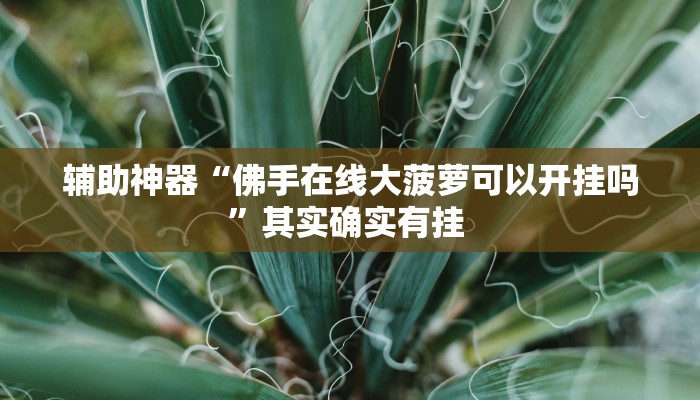 辅助神器“佛手在线大菠萝可以开挂吗”其实确实有挂 