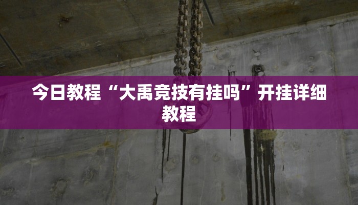 今日教程“大禹竞技有挂吗”开挂详细教程