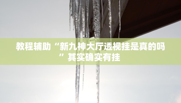 教程辅助“新九神大厅透视挂是真的吗”其实确实有挂 