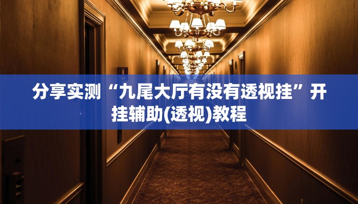 分享实测“九尾大厅有没有透视挂”开挂辅助(透视)教程