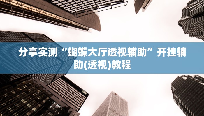 分享实测“蝴蝶大厅透视辅助”开挂辅助(透视)教程