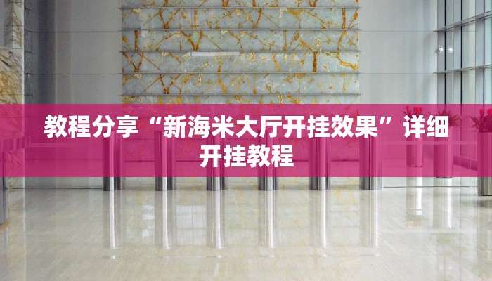 教程分享“新海米大厅开挂效果”详细开挂教程