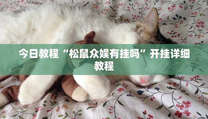 今日教程“松鼠众娱有挂吗”开挂详细教程