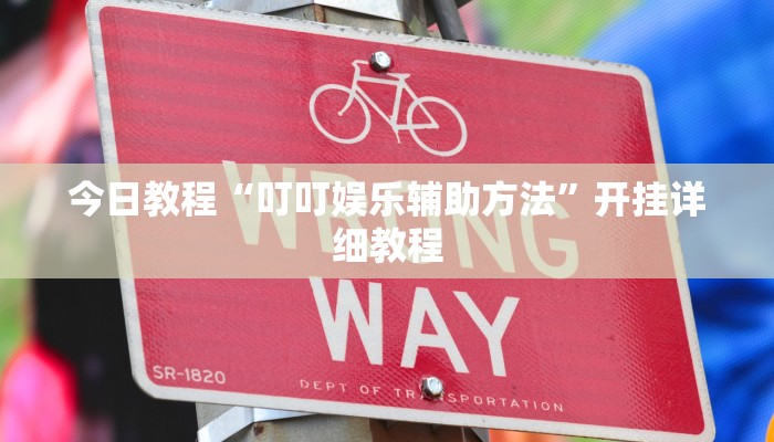今日教程“叮叮娱乐辅助方法”开挂详细教程