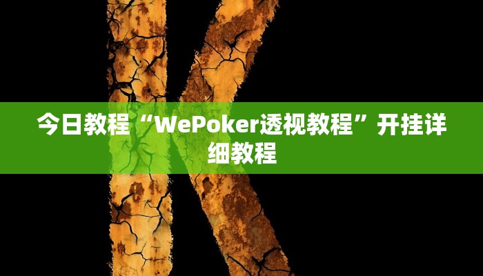 今日教程“WePoker透视教程”开挂详细教程