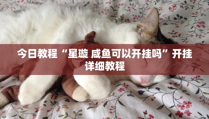 今日教程“星璇 咸鱼可以开挂吗”开挂详细教程