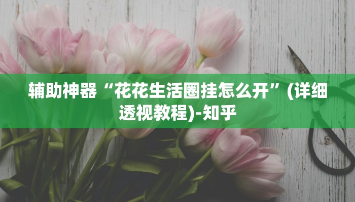 辅助神器“花花生活圈挂怎么开”(详细透视教程)-知乎