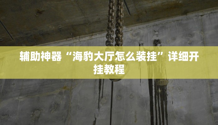 辅助神器“海豹大厅怎么装挂”详细开挂教程 辅助神器“海豹大厅怎么装挂”详细开挂教程