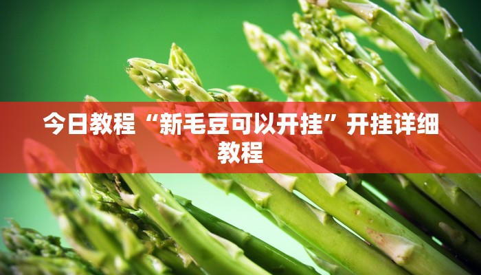 今日教程“新毛豆可以开挂”开挂详细教程