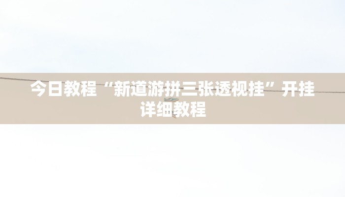 今日教程“新道游拼三张透视挂”开挂详细教程