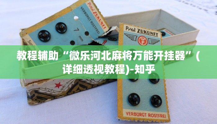 教程辅助“微乐河北麻将万能开挂器”(详细透视教程)-知乎