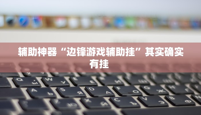 辅助神器“边锋游戏辅助挂”其实确实有挂 