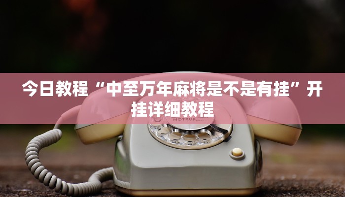 今日教程“中至万年麻将是不是有挂”开挂详细教程