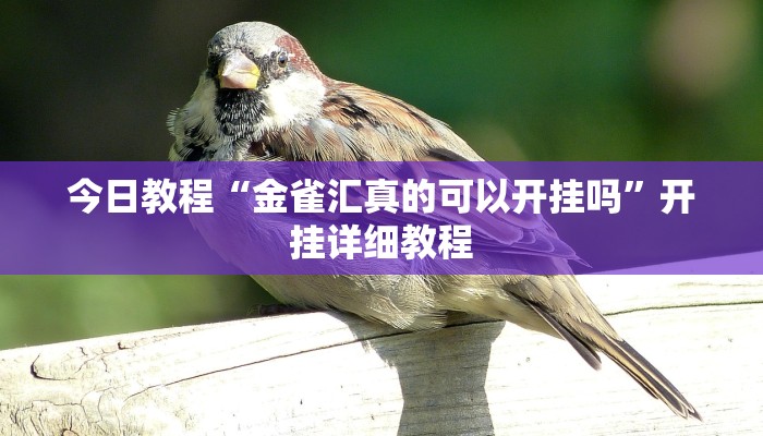 辅助神器“德州wepoker作弊辅助开挂透视方法”其实确实有挂 