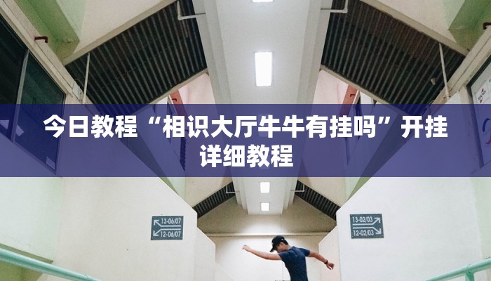 教程辅助“卡农大厅到底可以开挂吗”(详细透视教程)-知乎