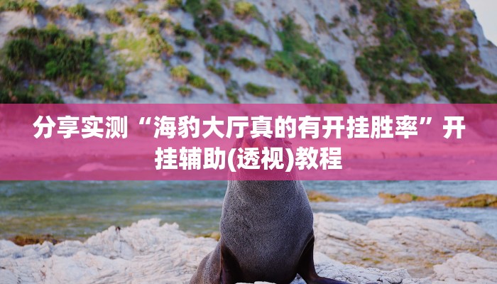 分享实测“海豹大厅真的有开挂胜率”开挂辅助(透视)教程