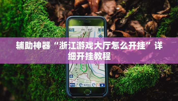 辅助神器“浙江游戏大厅怎么开挂”详细开挂教程