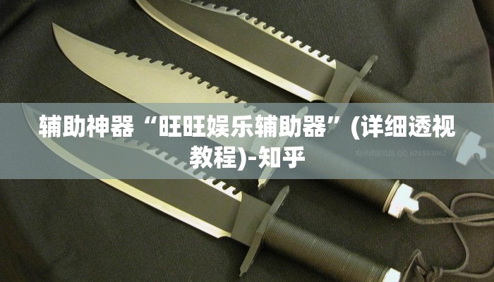 辅助神器“旺旺娱乐辅助器”(详细透视教程)-知乎