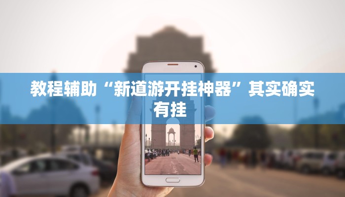 教程辅助“新道游开挂神器”其实确实有挂 