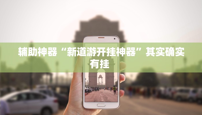 辅助神器“新道游开挂神器”其实确实有挂 辅助神器“新道游开挂神器”其实确实有挂