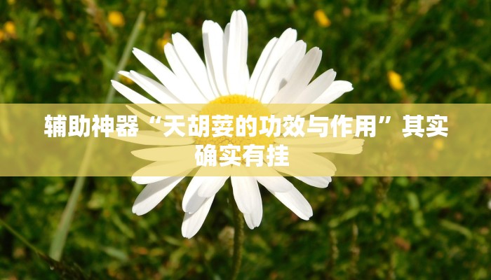 辅助神器“天胡荽的功效与作用”其实确实有挂 