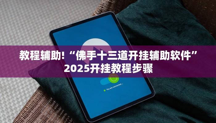教程辅助!“佛手十三道开挂辅助软件”2025开挂教程步骤