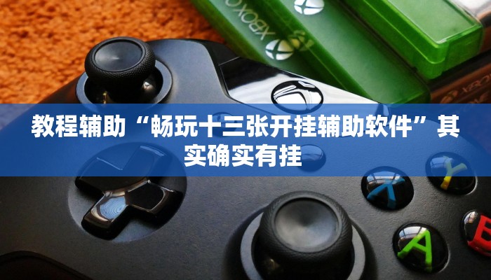 教程辅助“畅玩十三张开挂辅助软件”其实确实有挂 