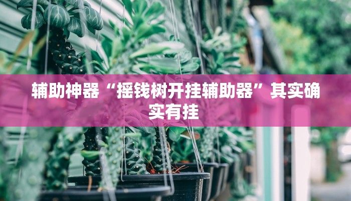 辅助神器“摇钱树开挂辅助器”其实确实有挂 