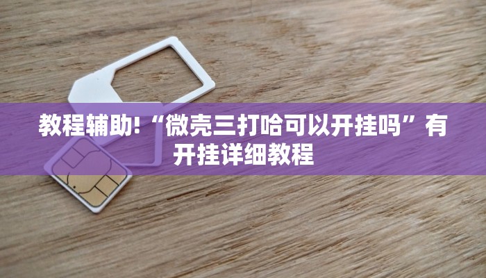 教程辅助!“微壳三打哈可以开挂吗”有开挂详细教程