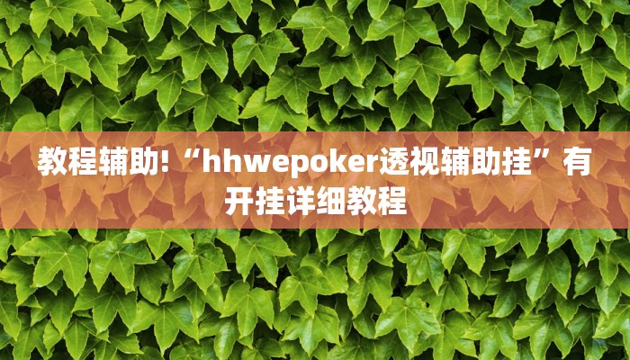 教程辅助!“hhwepoker透视辅助挂”有开挂详细教程