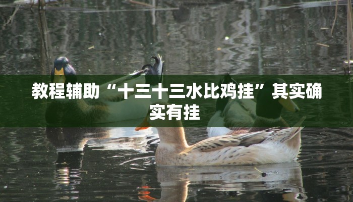 教程辅助“十三十三水比鸡挂”其实确实有挂 教程辅助“十三十三水比鸡挂”其实确实有挂