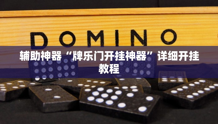 辅助神器“牌乐门开挂神器”详细开挂教程