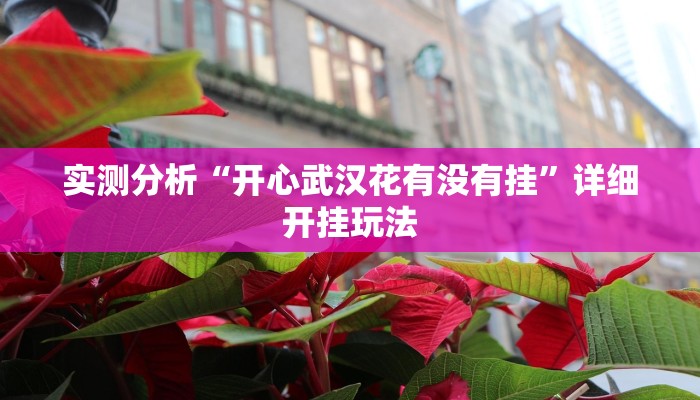 实测分析“开心武汉花有没有挂”详细开挂玩法