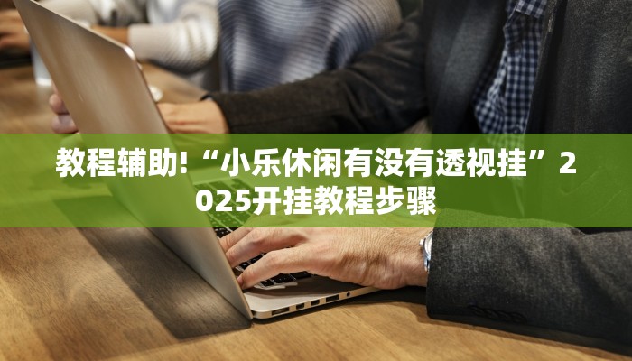 教程辅助!“小乐休闲有没有透视挂”2025开挂教程步骤