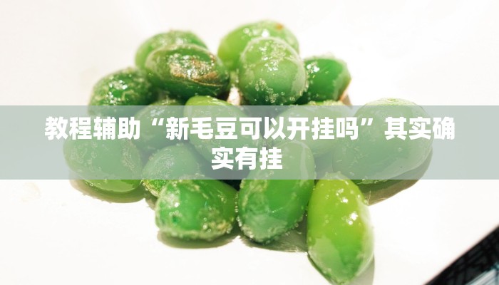 教程辅助“新毛豆可以开挂吗”其实确实有挂 