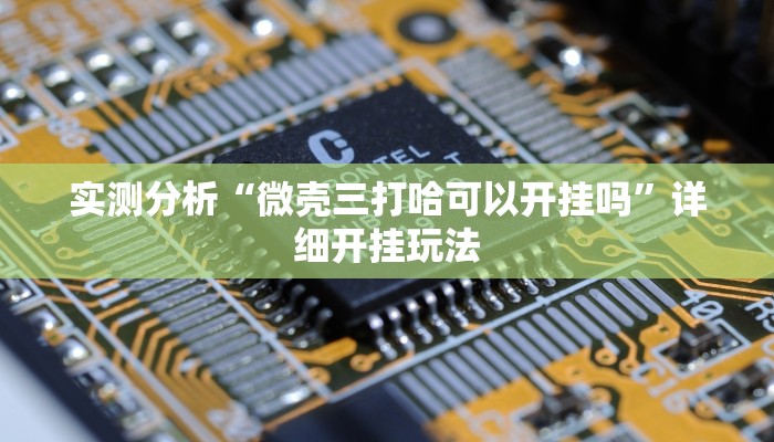 实测分析“微壳三打哈可以开挂吗”详细开挂玩法 实测分析“微壳三打哈可以开挂吗”详细开挂玩法