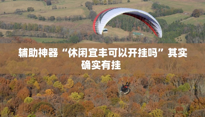 辅助神器“休闲宜丰可以开挂吗”其实确实有挂 