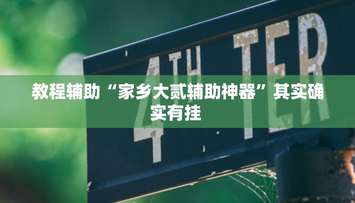 教程辅助“家乡大贰辅助神器”其实确实有挂 