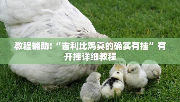 教程辅助!“吉利比鸡真的确实有挂”有开挂详细教程