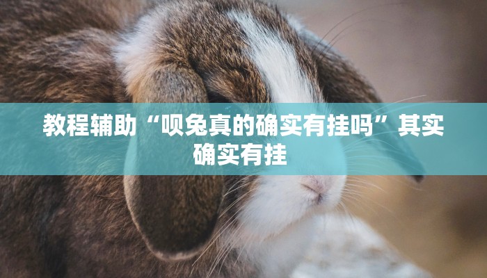 教程辅助“呗兔真的确实有挂吗”其实确实有挂 