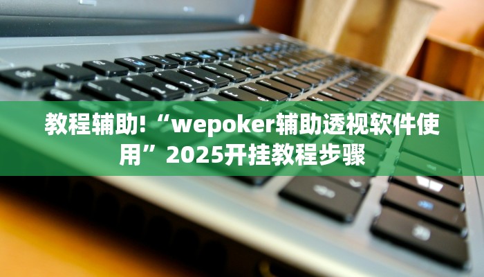 教程辅助!“wepoker辅助透视软件使用”2025开挂教程步骤