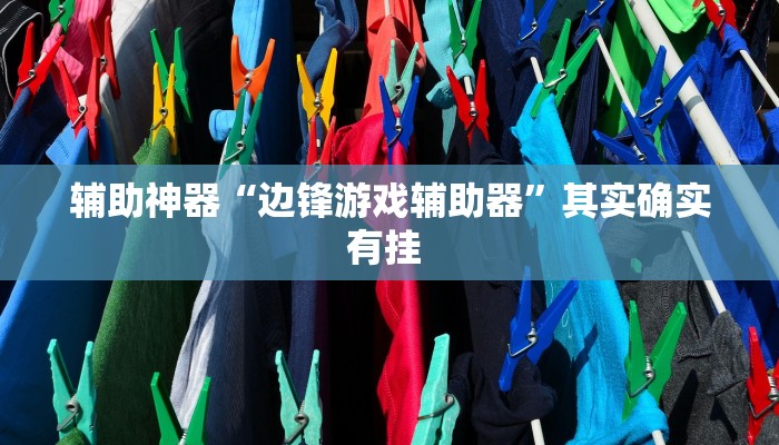 辅助神器“边锋游戏辅助器”其实确实有挂 