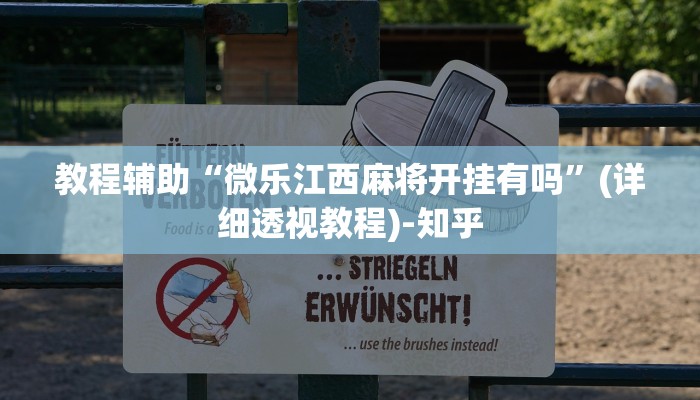 教程辅助“微乐江西麻将开挂有吗”(详细透视教程)-知乎