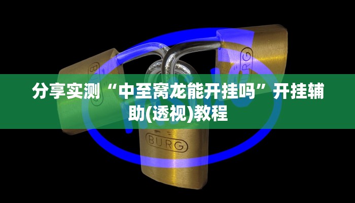 分享实测“中至窝龙能开挂吗”开挂辅助(透视)教程