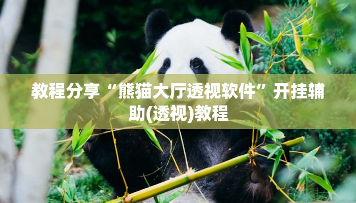 教程分享“熊猫大厅透视软件”开挂辅助(透视)教程