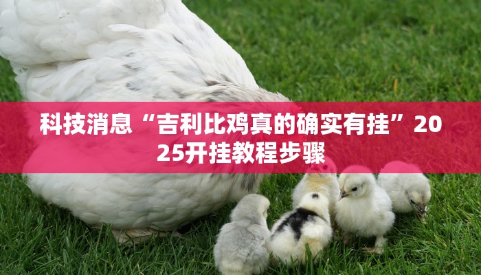 科技消息“吉利比鸡真的确实有挂”2025开挂教程步骤