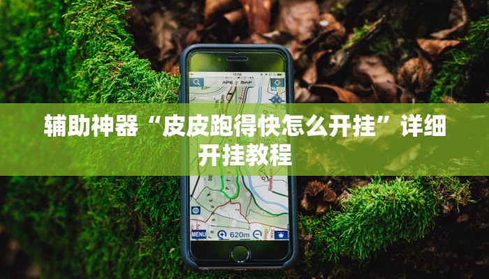 辅助神器“皮皮跑得快怎么开挂”详细开挂教程