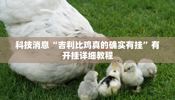 科技消息“吉利比鸡真的确实有挂”有开挂详细教程