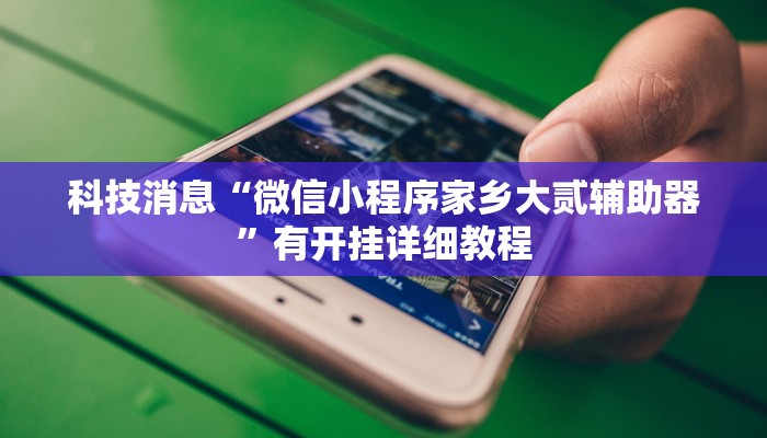 科技消息“微信小程序家乡大贰辅助器”有开挂详细教程